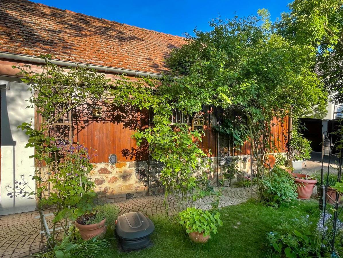 Ferienhaus Burgblick Münzenberg 外观 照片